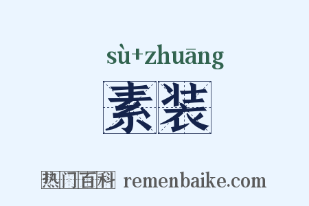 素装是什么意思的图片